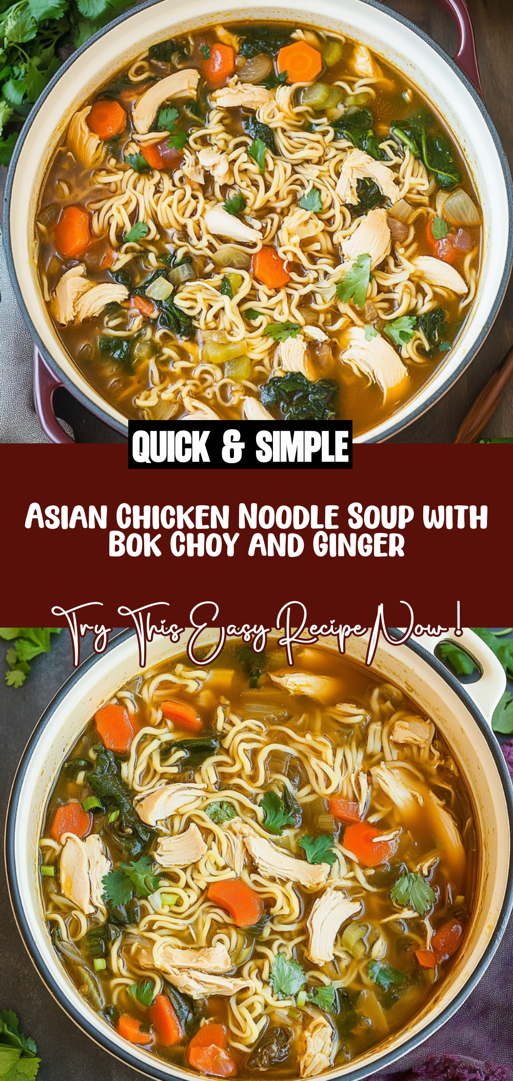 Asian Chicken Noodle Soup
