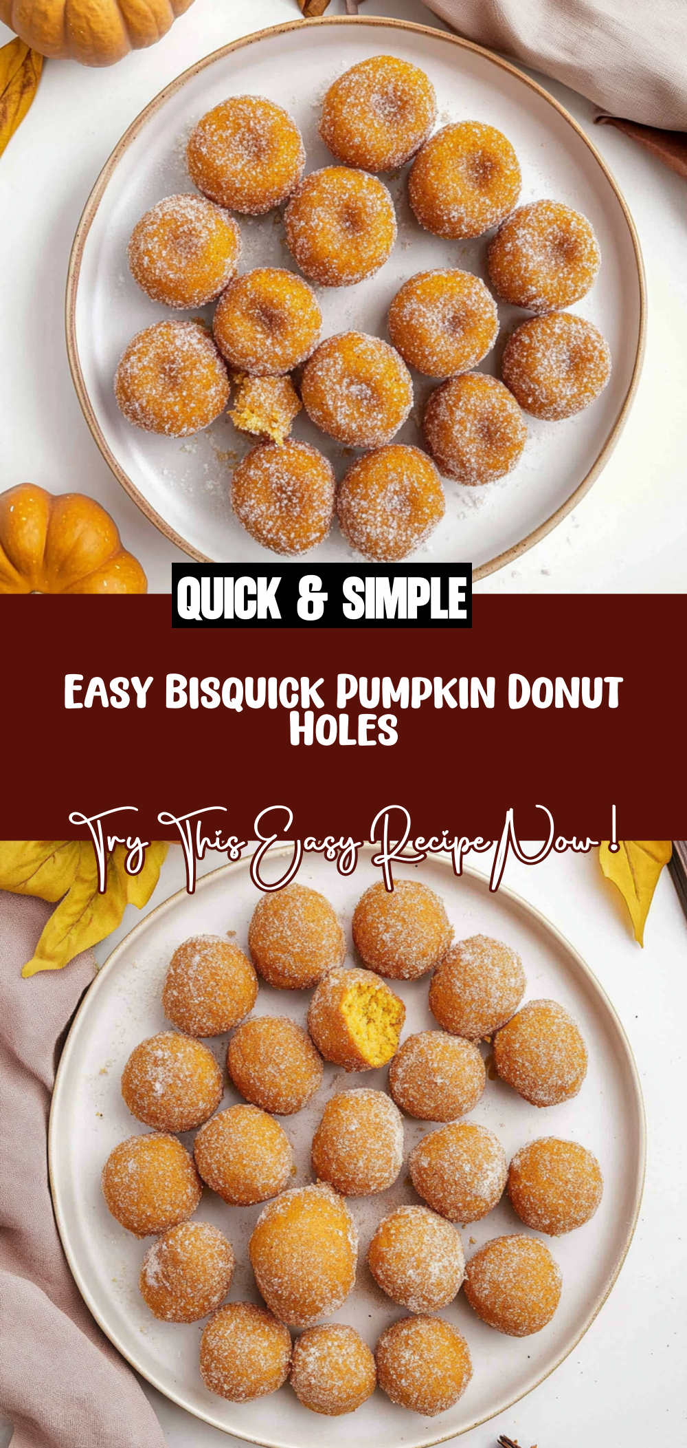 Easy Bisquick Pumpkin Donut Holes