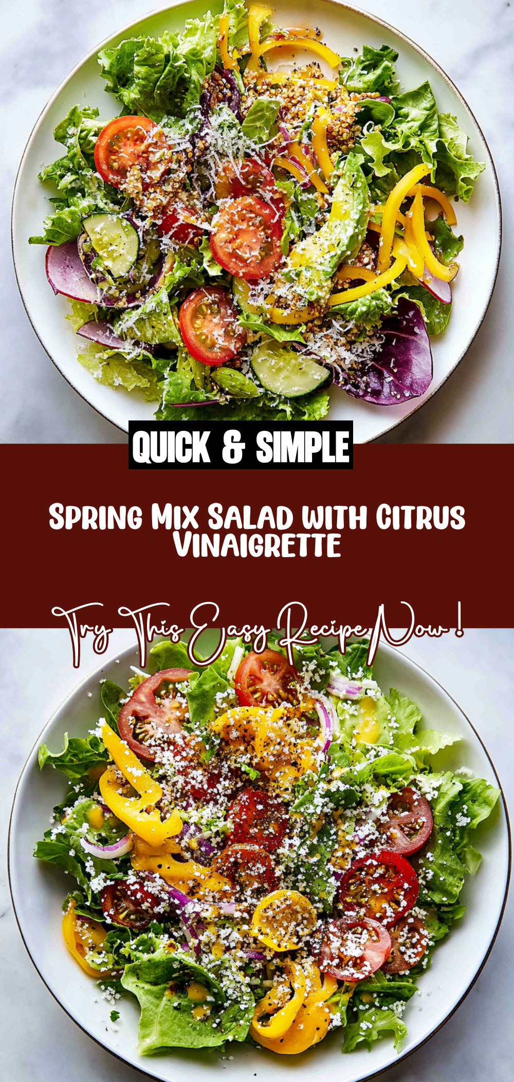 Spring Mix Salad