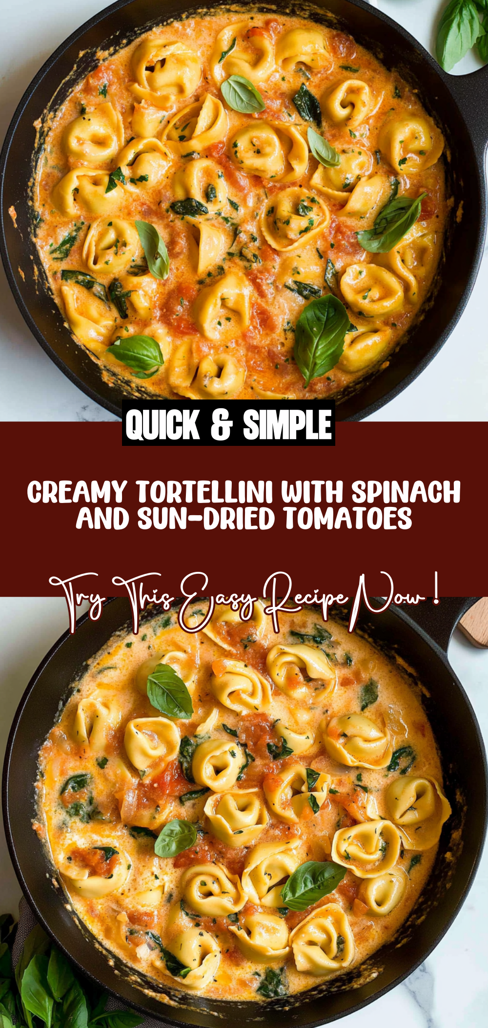 creamy tortellini
